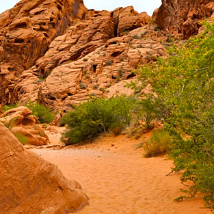 Valley of Fire hiking trail